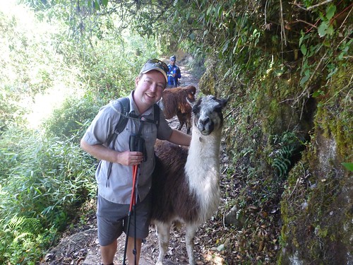 James with a llama